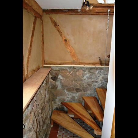 Neu! Ferienwohnung Romantique Radebeul Bagian luar foto